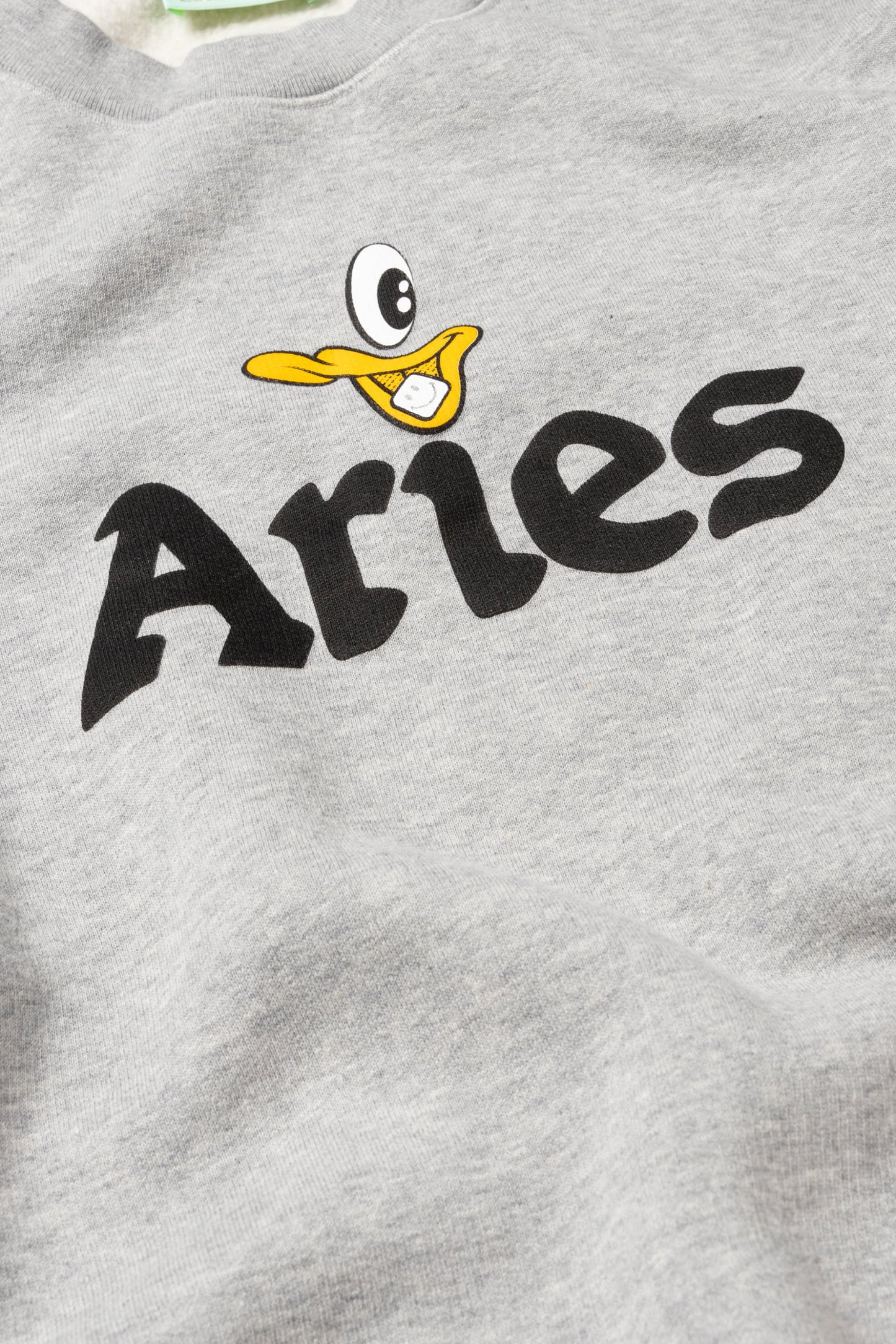 AYE DUCK SWEATSHIRT